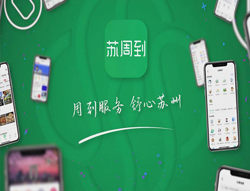 苏州城市生活服务总入口项目监理服务